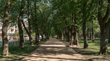 Güneşli bir günde uzun, asfalt bir yolu olan, uzun yeşil ağaçların gölgelediği sakin bir şehir parkı. Sahne, benekli güneş ışığıyla doğal bir tünel etkisi yaratıyor. Yürümek ve dışarıda dinlenmek için mükemmel..