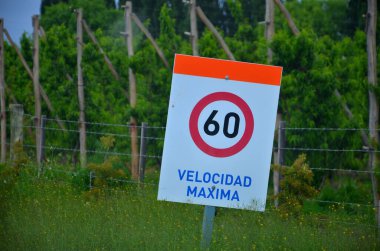 Barselona şehrinde yol tabelası