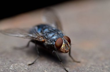 Siyah arka planda uç