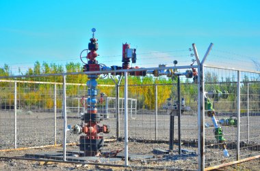 Petrol endüstrisi ve Arjantin Patagonya çevresi