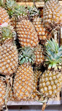 Çiftlikten yeni toplanmış olgun sarı ananaslar piyasa gösterileri ya da tropikal meyve sahneleri için mükemmel bir şekilde yerleştirilmiş müşteriler için.