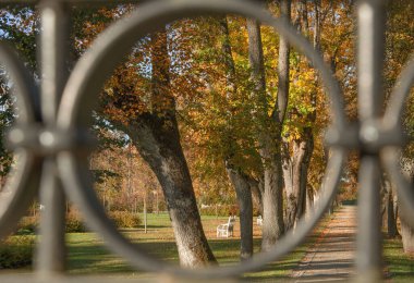 Sonbaharda güneşli bir günde parkın manzarası