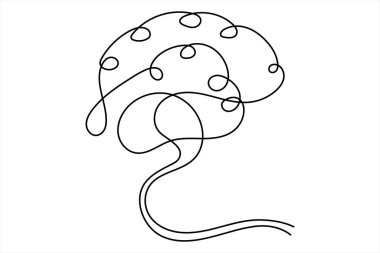 Devamlı denizanası çizimi