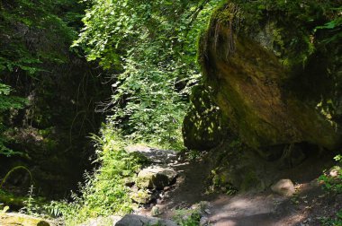 Kara Orman 'da gezinti tutkusu. Lotenbachklamm Wutachschlucht 'un el değmemiş doğasında kırsal yürüyüş yolu