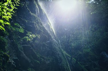Lotenbachklamm Wutachschlucht Kara Ormanı 'nda kayalıklarda yosun bulunan küçük doğal şelale. Güneş ışığı ormanın içinden şelaleye doğru parıldıyor. Işığa karşı 