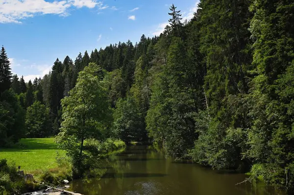 Kara Orman Almanya 'sında gezgin şehvet el değmemiş vahşi doğa Wutachschlucht