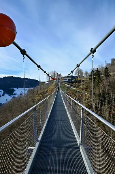 Todtnau şelaleleri üzerinde Kara Orman Almanya 'daki asma köprü