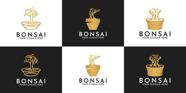 Saksılar üzerinde bonsai ağacı logosu dizaynı