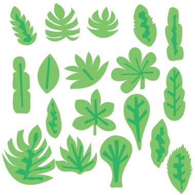 Yaprakların farklı şekilleri Clipart koleksiyon illüstrasyonları. Yeşil el yaprak koleksiyonu. Vektör illüstrasyon koleksiyonunu terk eder