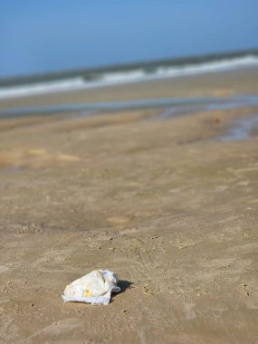 Yerde tek kullanımlık bebek bezleri olan terk edilmiş bir plaj. Görüntü kirliliği ve çevresel ihmali vurguluyor, doğal güzellikle çelişiyor..