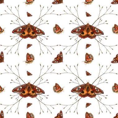 Butterfly with twig. Saturnia seamless pattern. Elegant beautiful symmetric different moths, white background. Good for fabric, background, tablecloth, bedclothes, wrapping, print, seasonal decor. clipart