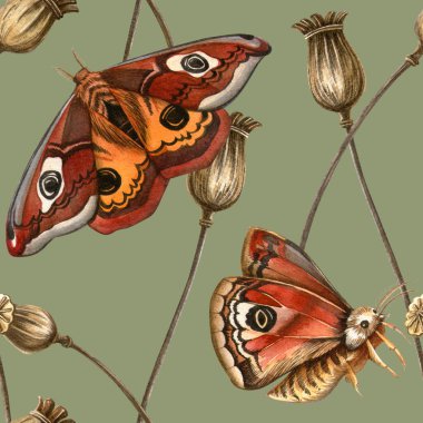 Tavus kuşu kelebekleri ve kurutulmuş haşhaş soğanları olan klasik botanik desenli. Sonbahar suluboya mevsimlik bitkisel duvar kağıdı. Dişi kumaşlar için ideal, botanik baskılar, kaliteli ambalajlar, doku.