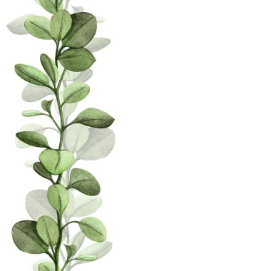 Yeşil dallı ve yeni yapraklı bahar çiçeksiz bordürler. El, botanik elementlerle sınıra suluboya şablonu çizdi. Mevsimlik düzenleme için mükemmel, yeşillik temaları, düğün, Paskalya dekoru