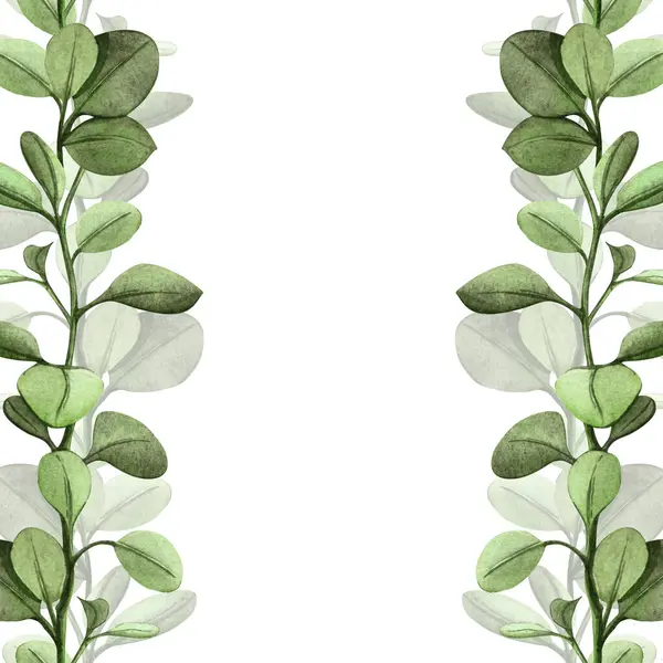 Taze yapraklar ve bahar dalları ile sınırsız yeşil çiçek kare şablonu. Parlak suluboya arka plan - botanik bordürü. Mevsimlik düzenleme için mükemmel, yeşillik temaları, düğün, Paskalya.