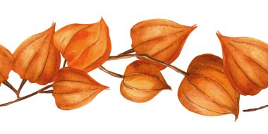 Çin feneri, altın böğürtlensiz sınır. Sonbahar sebze çorbası, kış kirazı, İnka üzümü, bektaşi üzümü dalları. Mevsimlik düzenleme için mükemmel, ev tekstili, iç kumaşlar, afiş, baskı.