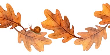 Sonbahar meşe yaprakları ve parlak salyangozlar renksiz sınır renkleri suluboya yeşillik ve salyangoz çiçekli pankart ev yapımı, tekstil, mutfak gereçleri, yatak örtüsü, ambalaj, şablon için mükemmel.