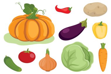 Çizgi film sebzeleri. Balkabağı, havuç, soğan, domates, salatalık, lahana, patlıcan, biber, patates beyaz arka planda..