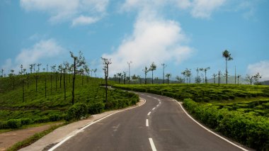 Tepelik bir çay bahçesinden geçen güzel bir yol..