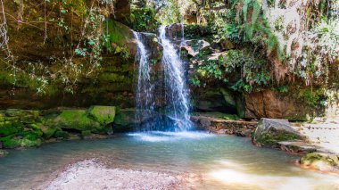 Kyongnosla Waterfall is a stunning natural wonder located in Gangtok, Sikkim, India. Surrounded by lush greenery. clipart