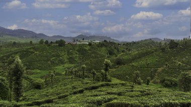 Kanthalloor, a serene village nestled in the Western Ghats of Kerala, is renowned for its cool climate and stunning landscapes. It is a haven for fruit lovers, known for its apple orchards. clipart