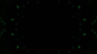 Disko, Müzikal Etkinlik, Vj Partisi gibi Soyut Parti Arkaplanı