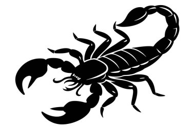 Black and white Scorpion silhouette vector icon isolated on white background. clipart