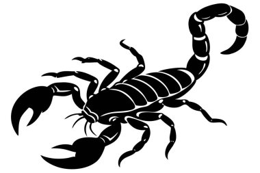 Black and white Scorpion silhouette vector icon isolated on white background. clipart