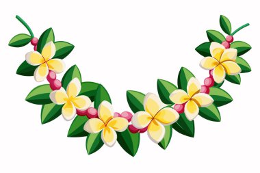 Hawaii Frangipani Çiçek Çelengi (Lei) Beyaz Arkaplan Kesimi 'nde İzole Edildi.