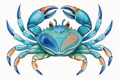 Hand drawn watercolor crab sea animal isolated on white background clipart