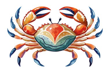 Hand drawn watercolor crab sea animal isolated on white background clipart