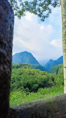 Forest and hill in Kaliurang, Sleman, Special Region of Yogyakarta, Indonesia. It shows the forest next to a hill filled with trees. This scene takes place near Merapi Volcano Mountain. clipart