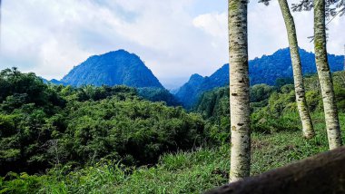 Kaliurang 'daki orman ve tepe, Sleman, Endonezya Yogyakarta' nın özel bölgesi. Ağaçlarla dolu bir tepenin yanındaki ormanı gösteriyor. Bu sahne Merapi Volkan Dağı yakınlarında geçiyor..