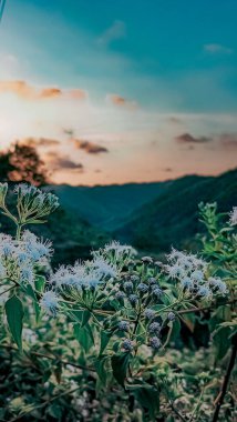 Sonbahar otları ve renkli gökyüzü ile dağlık dağ sırtı boyunca uzanan dağ yolu. Girisubo, Gunungkidul, Yogyakarta Özel Bölgesi, Endonezya. Renkli bir sonbaharda yürüyüş keşfetmek.