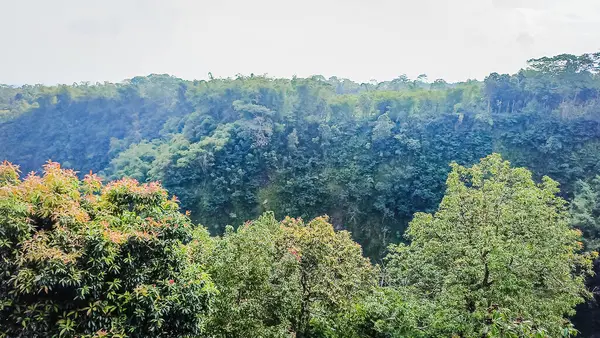 Kaliurang 'daki orman ve kanyon, Sleman, Endonezya Yogyakarta' nın özel bölgesi. Bir kanyonun yanındaki ormanı gösteriyor. Bu sahne Merapi Volkan Dağı yakınlarında geçiyor..