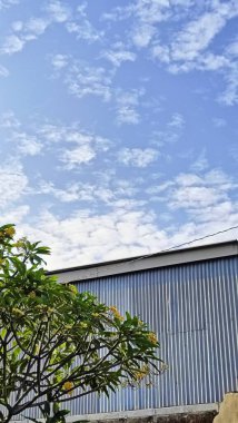 A warehouse and a tree under the blue sky. The warehouse placed beside a tree. The warehouse and the tree shined by the sun. clipart