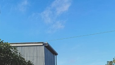 Mavi gökyüzünün altında bir depo ve bir ağaç. Depo bir ağacın yanına yerleştirildi. Depo ve güneş tarafından parlayan ağaç..