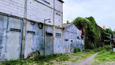 An old building with a grey wall. This building have backyard behind it clipart