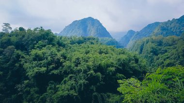 Kaliurang 'daki orman ve tepe, Sleman, Endonezya Yogyakarta' nın özel bölgesi. Ağaçlarla dolu bir tepenin yanındaki ormanı gösteriyor. Bu sahne Merapi Volkan Dağı yakınlarında geçiyor..