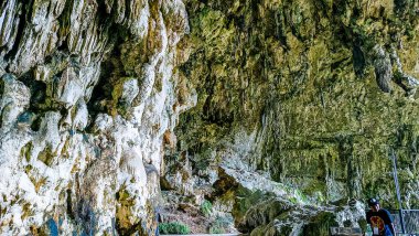Üzerinde yeşil bitkiler büyüyen kayalık bir uçurum. Bitkiler uçurumun kenarında yetişiyor ve uçurum yosunlarla kaplı. Huzurlu ve huzurlu bir sahne.