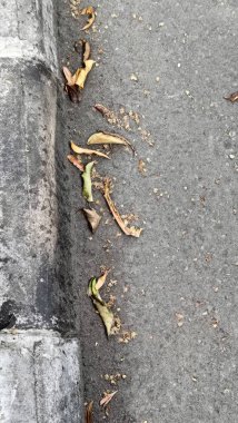 Beton kaldırım boyunca dağılmış kuru yapraklar, kentsel bir ortamda sonbaharın özünü yakalıyor. Sahne, değişim, zaman geçişi ve doğal bozulmayı çağrıştırıyor..