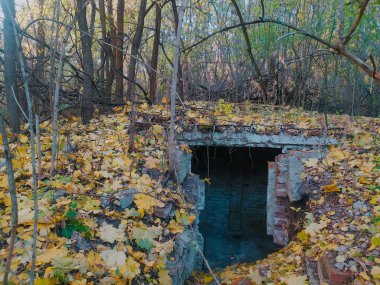 Ormanın ortasında terk edilmiş bir bina. Turuncu yapraklı sonbahar ormanı.