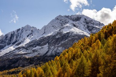 Dağların güzel manzarası