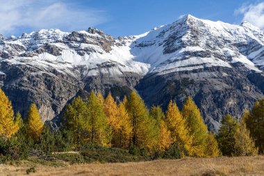 Güzel manzara, doğa, dağ.