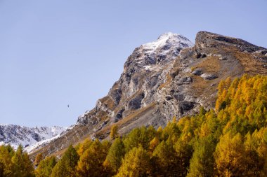 mountain landscape in the mountains clipart