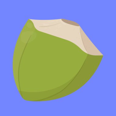 Hindistan cevizi vektör simgesi. Taze hindistan cevizi meyve vektörü ikonu. Coco ikonu. Kırılmış hindistan cevizi simgesi