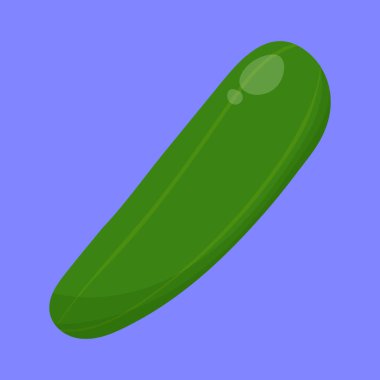 Taze Salatalık Vektörü simgesi. Salatalık sebze ikonu. salatalık taze çizim