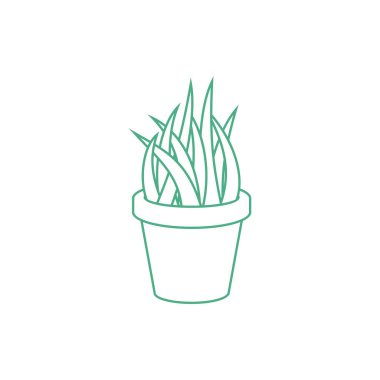 Kap Simgesi Şablon Çizim Tasarımı Sanseviera Çiçeği