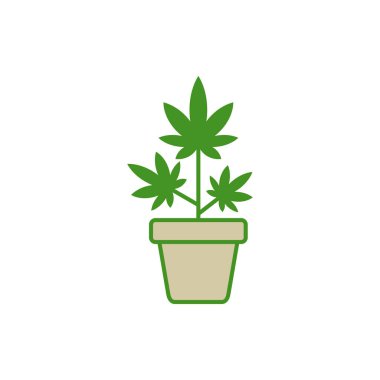 Esrar Simgesi Vektör Şablonu İllüstrasyon Tasarımı 'nda Kenevir Çiçeği