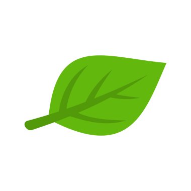 Green Leaf Environment Ecology Vector Template