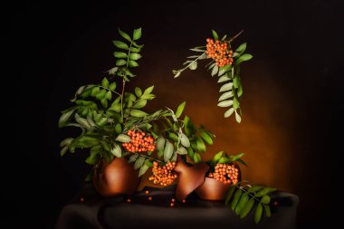 Bu fotoğraf seramik kaplara yerleştirilmiş parlak turuncu dutlu rowan dallarının bir bileşimini gösteriyor. Tencerelerden biri kırılmış ve böğürtlenler dağılmış.